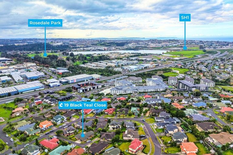 Photo of property in 19 Black Teal Close, Unsworth Heights, Auckland, 0632