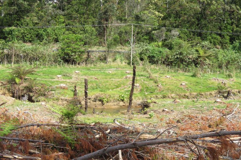 Photo of property in 59 Harbour View Rise, Mangonui, 0494