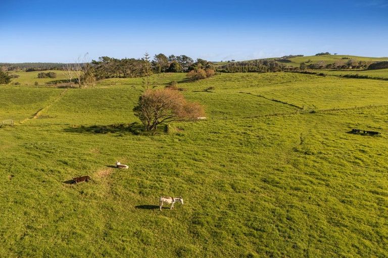 Photo of property in 2640 South Head Road, South Head, Helensville, 0874