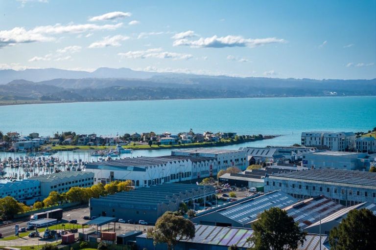 Photo of property in Northridge Apartments Stage Z, 1/22 Hospital Terrace, Hospital Hill, Napier, 4110