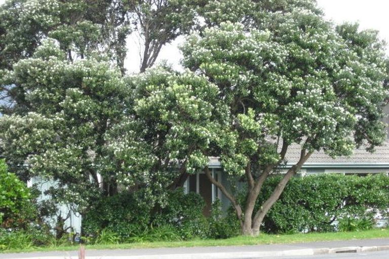 Photo of property in 44 Ludlam Street, Seatoun, Wellington, 6022