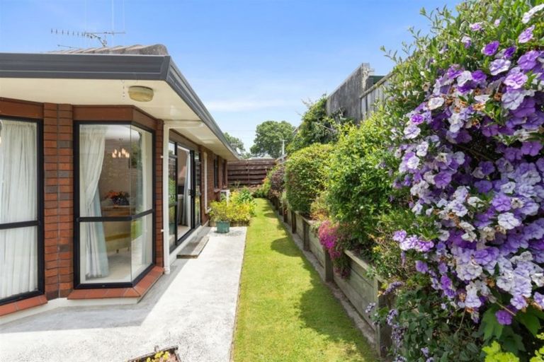 Photo of property in 93a Fraser Street, Tauranga South, Tauranga, 3112