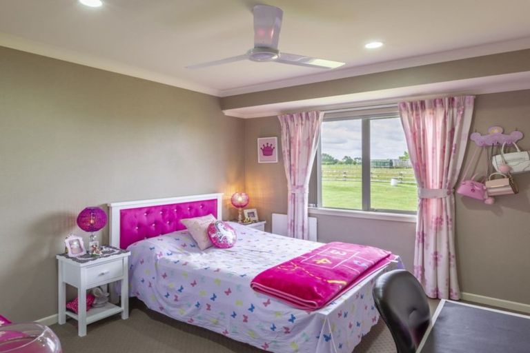 Photo of property in 332 Shewan Road, Gordonton, Hamilton, 3281