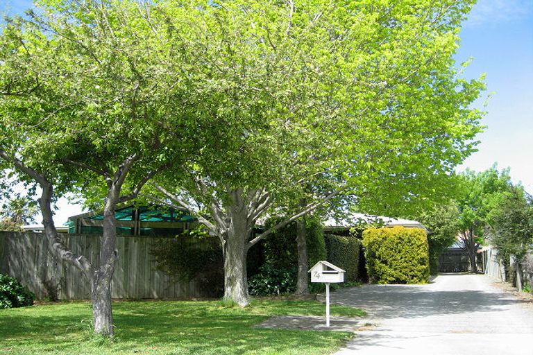 Photo of property in 74 Muller Road, Blenheim, 7201