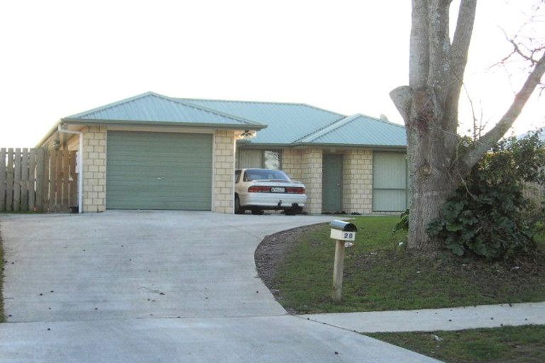 Photo of property in 20 Halberg Crescent, Chartwell, Hamilton, 3210