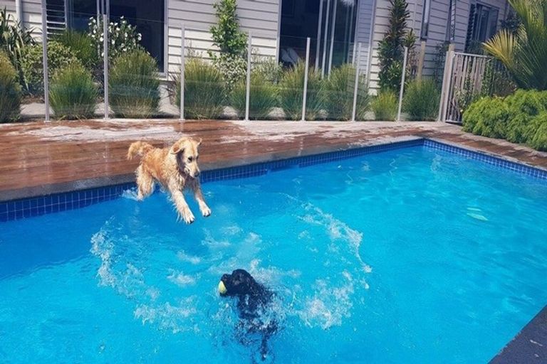 Photo of property in 18 Stevensons Crescent, Albany Heights, Albany, 0793