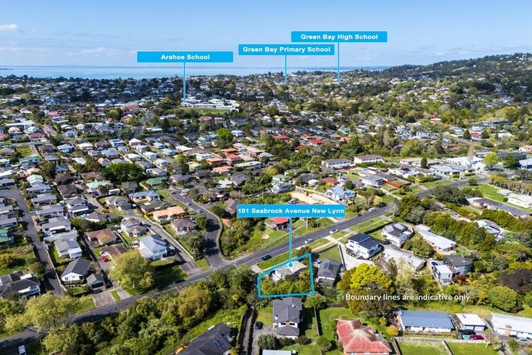 Photo of property in 101 Seabrook Avenue, New Lynn, Auckland, 0600