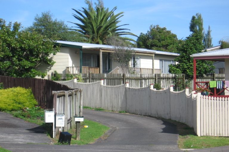 Photo of property in 40 Hinerau Street, Henderson, Auckland, 0612