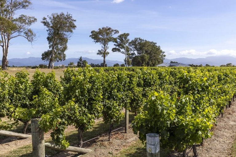 Photo of property in 29 Hardings Road, Riverlands, Blenheim, 7274