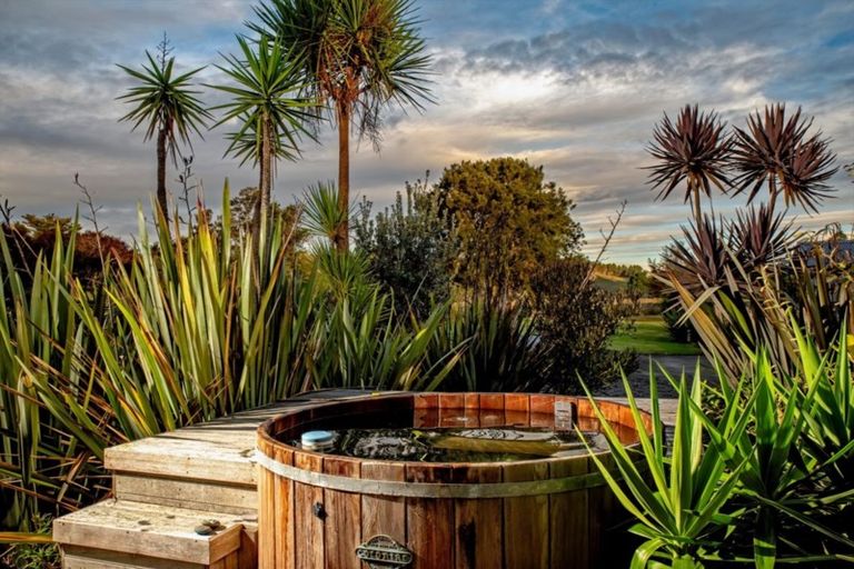 Photo of property in 132 Ohiwa Loop Road, Waiotahe, Opotiki, 3198