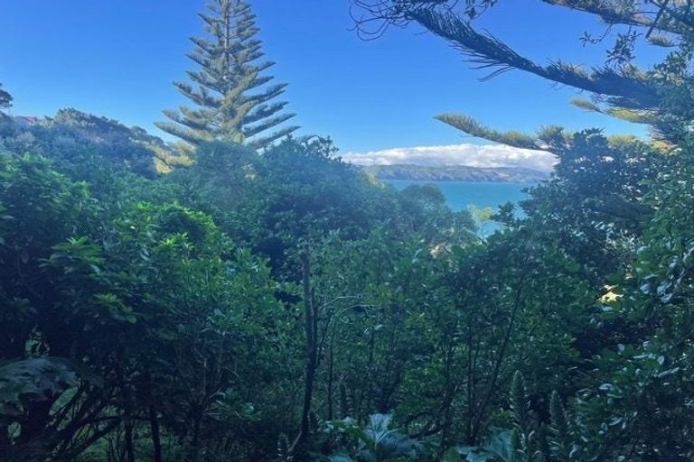 Photo of property in 147a Grafton Road, Roseneath, Wellington, 6011