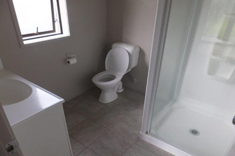 Photo of property in 13 Ellsworth Place, Chartwell, Hamilton, 3210