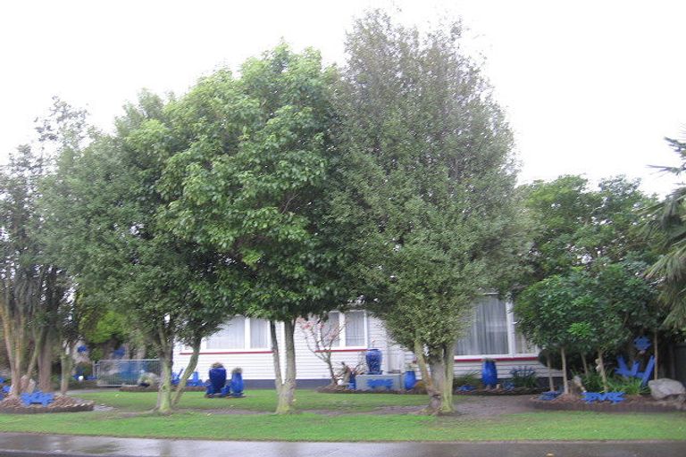 Photo of property in 566 Lowe Street, Camberley, Hastings, 4120