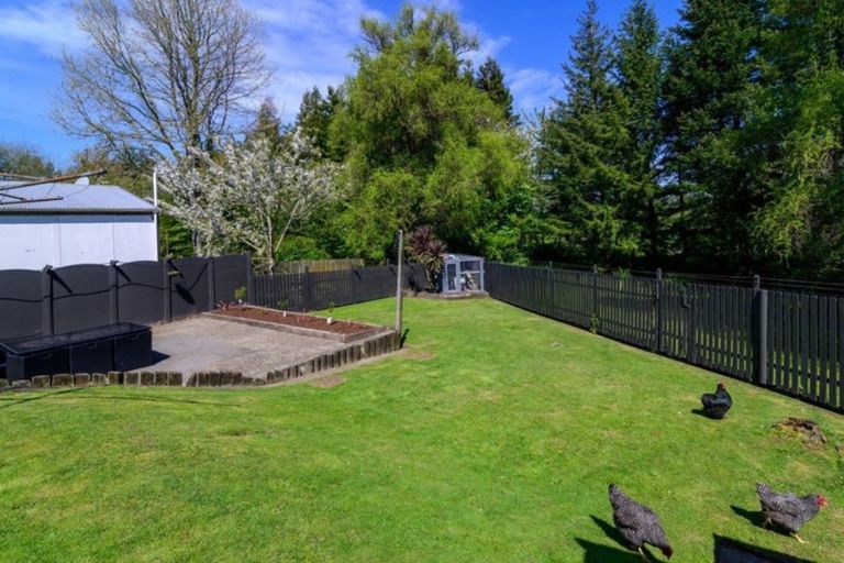 Photo of property in 46 Alison Street, Mangakakahi, Rotorua, 3015