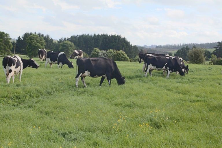 Photo of property in 1337 East Coast Road, Whakatiwai, Pokeno, 2473