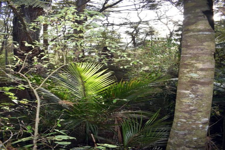 Photo of property in 53 De Boer Lane, Mangawhai, Kaiwaka, 0573