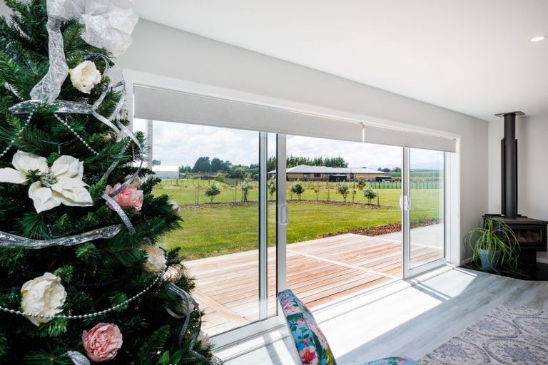 Photo of property in 455a Taonui Road, Colyton, Feilding, 4775