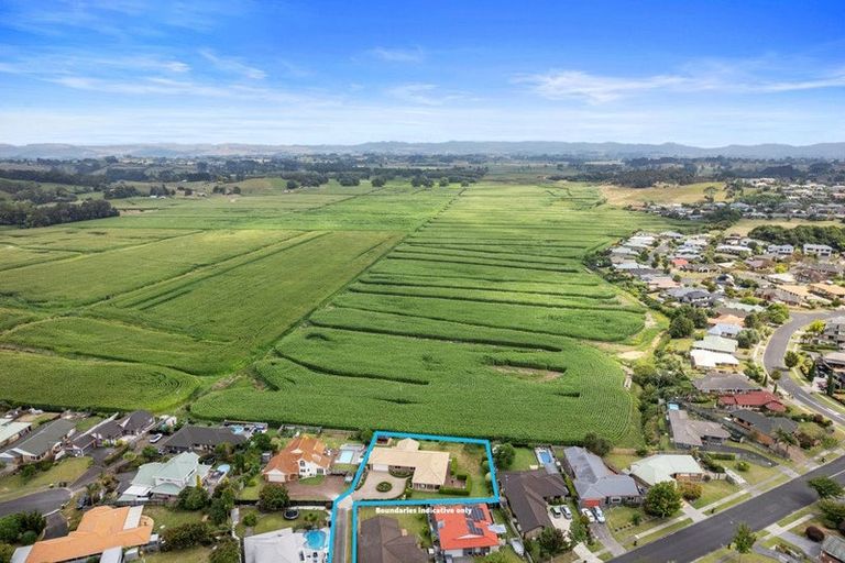 Photo of property in 244 Grandview Road, Western Heights, Hamilton, 3200