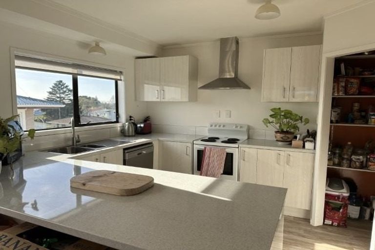 Photo of property in 8a Lincoln Terrace, Gate Pa, Tauranga, 3112