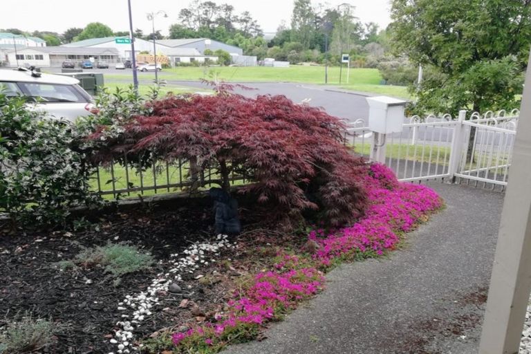 Photo of property in 21 Mt Lebanon Lane, Henderson, Auckland, 0612