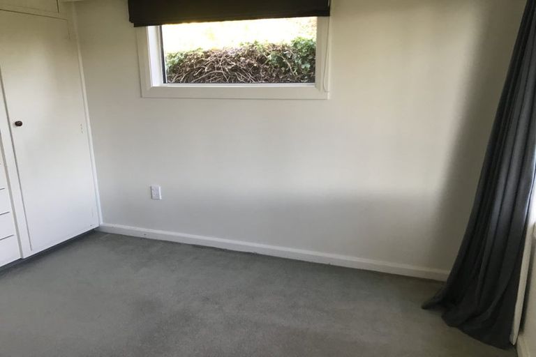 Photo of property in 56 Birdwood Avenue, Beckenham, Christchurch, 8023