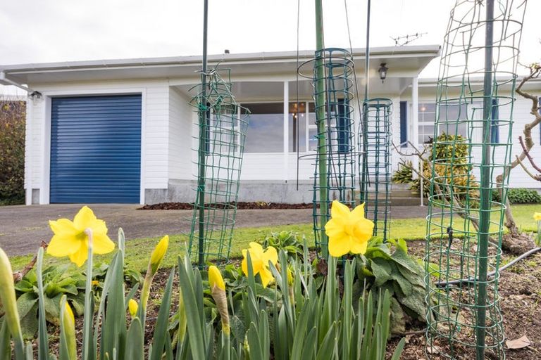 Photo of property in 36 Cedar Crescent, Feilding, 4702