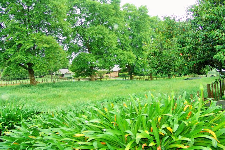 Photo of property in 93 Penny Road, Pirongia, Te Awamutu, 3876