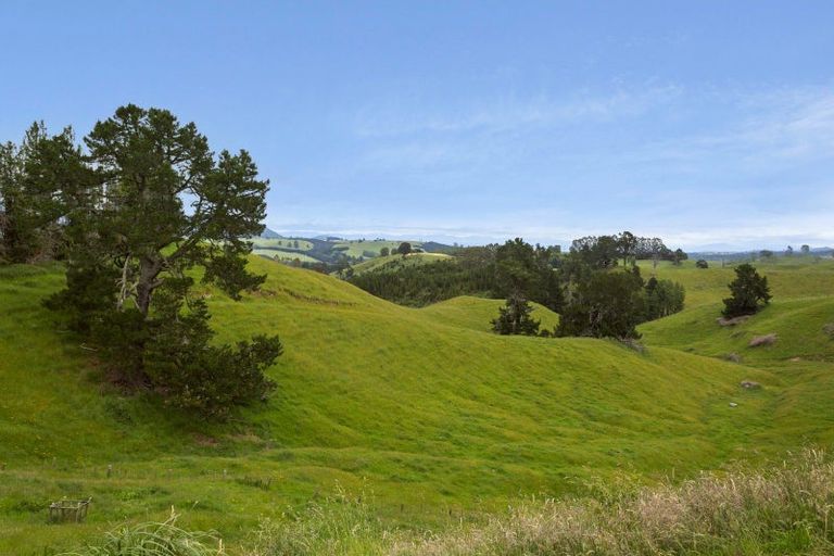 Photo of property in 145 Palmer Mill Road, Wairakei, Taupo, 3384