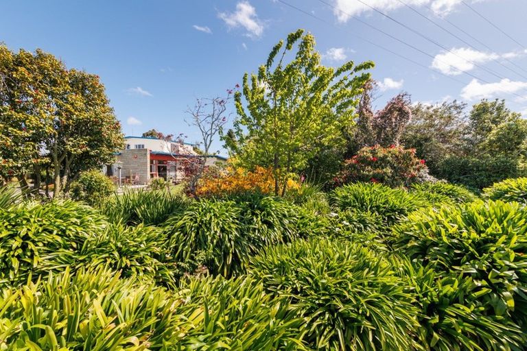 Photo of property in 109 Skerman Line, Newbury, Palmerston North, 4478