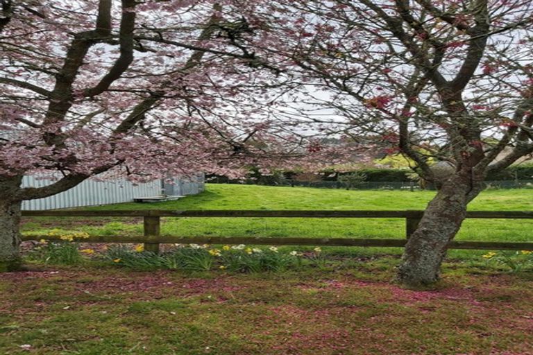 Photo of property in 202 Whangamata Road, Kinloch, Taupo, 3377