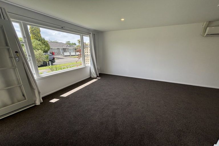 Photo of property in 55 Windsor Street, Terrace End, Palmerston North, 4410