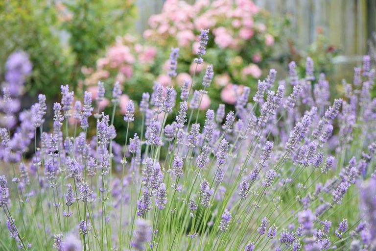 Photo of property in 219 Beach Road, Kaikoura, 7300