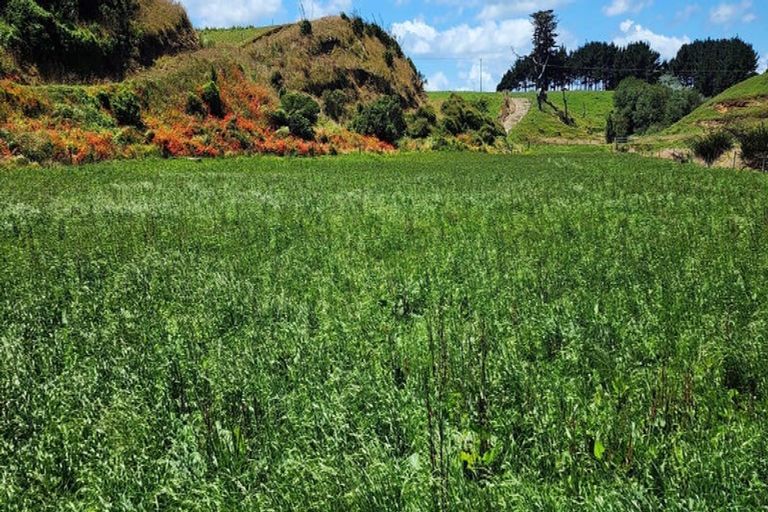 Photo of property in 5 Kakaramea Road, Kakaramea, Patea, 4598