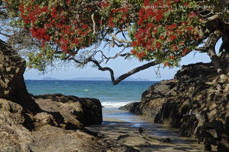 Photo of property in 1 Glen Wallace Road, Waipu, 0510