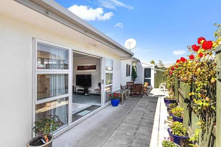 Photo of property in 164 Muller Road, Blenheim, 7201