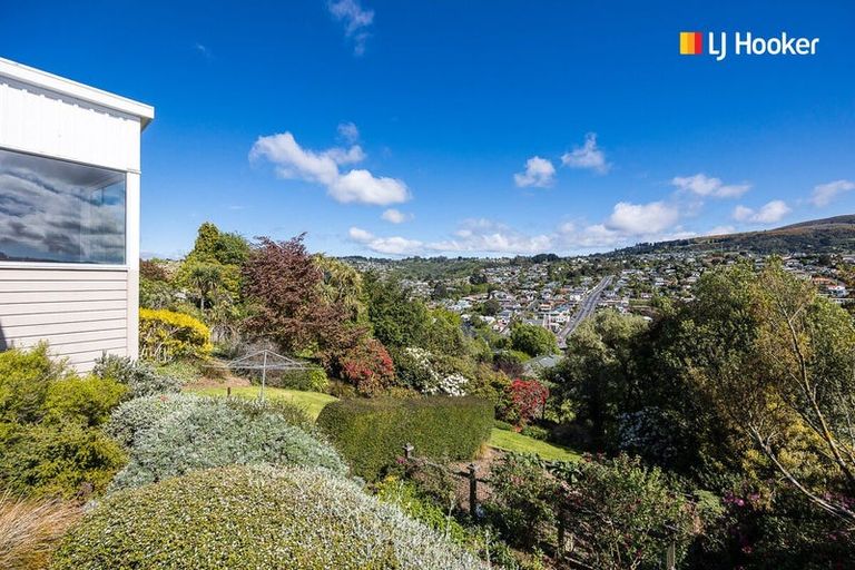 Photo of property in 12 Ann Street, Roslyn, Dunedin, 9010