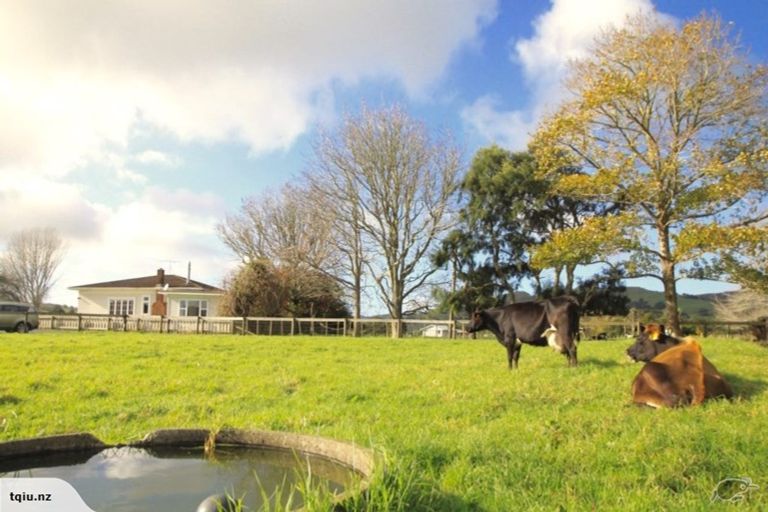 Photo of property in 1313 Whangaripo Valley Road, Whangaripo, Wellsford, 0972