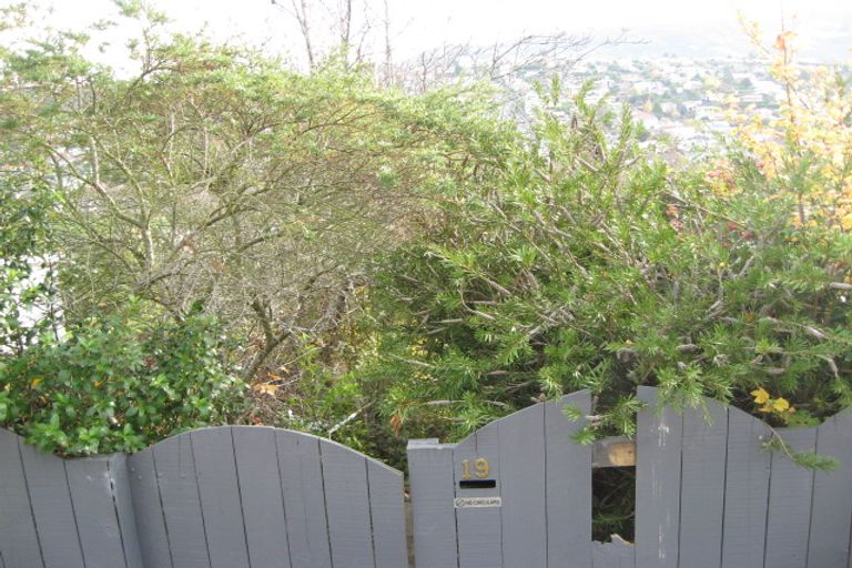 Photo of property in 19 Tyne Street, Roslyn, Dunedin, 9010