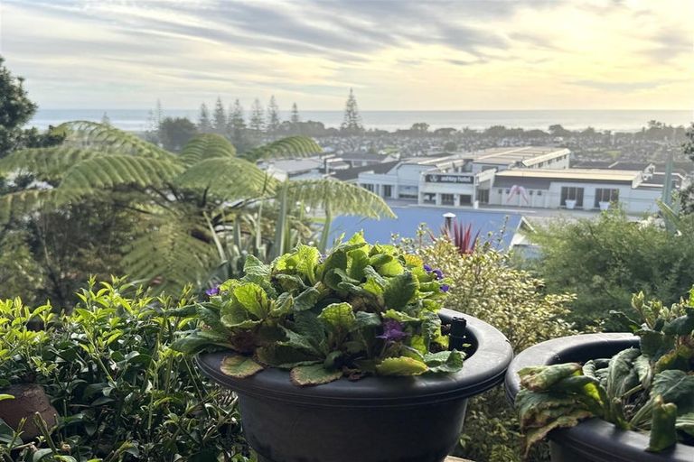 Photo of property in 221a High Street, Greymouth, 7805