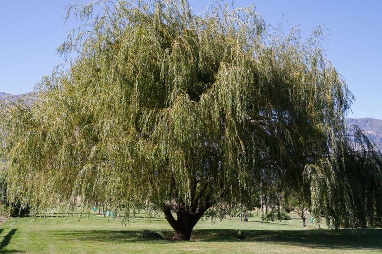 Photo of property in 1044 Lake Hawea-albert, Albert Town, Wanaka, 9382