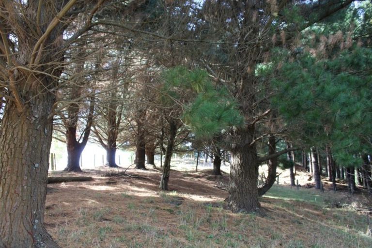 Photo of property in 175 Umutaoroa Road, Dannevirke, 4978