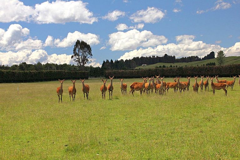 Photo of property in 24 Mount York Road, Te Anau, 9679