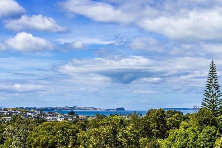 Photo of property in 1/112 Stredwick Drive, Torbay, Auckland, 0630