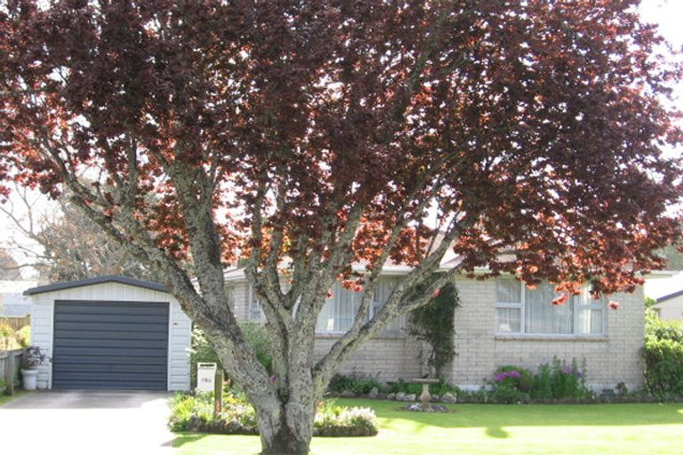 Photo of property in 16a Queen Road, Bellevue, Tauranga, 3110