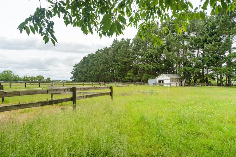 Photo of property in 273 Parewanui Road, Bulls, 4894