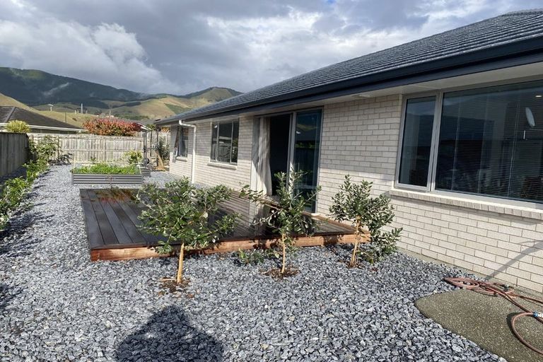 Photo of property in 52 Daelyn Drive, Richmond, 7020