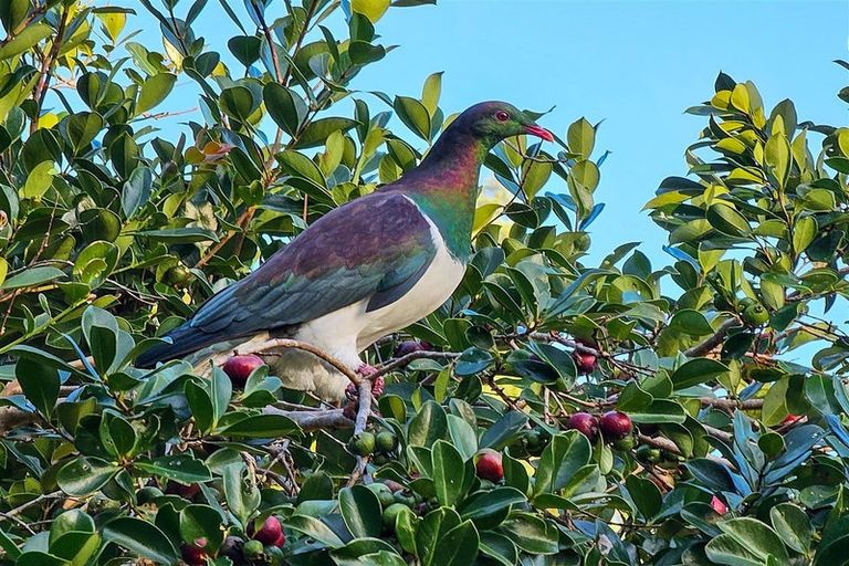 Photo of property in 105 Bodhisattva Road, Waitoki, Silverdale, 0994