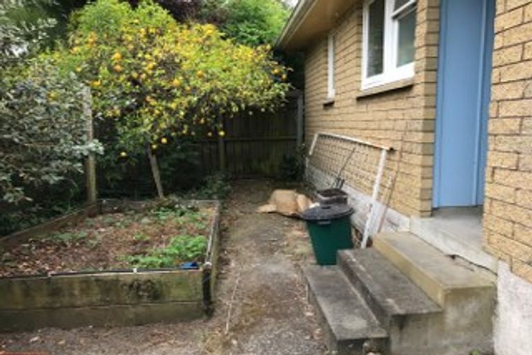 Photo of property in 45 Sefton Crescent, Chartwell, Hamilton, 3210