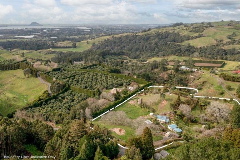 Photo of property in 257d Whakamarama Road, Whakamarama, Tauranga, 3179