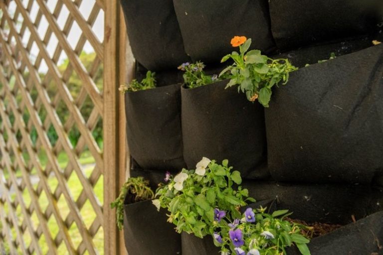 Photo of property in 369 Ngatai Road, Bellevue, Tauranga, 3110